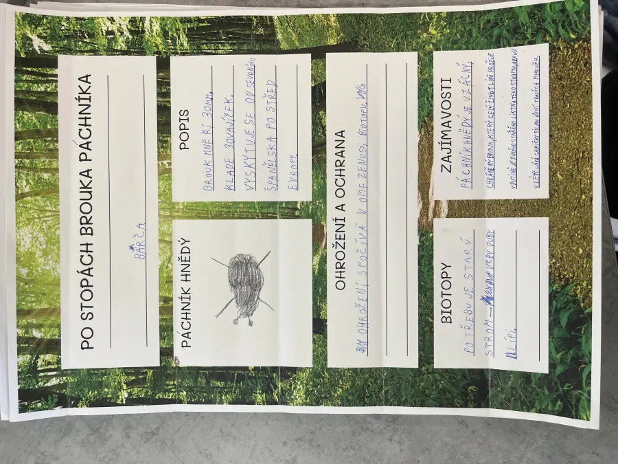 Po stopách brouka Pachníka