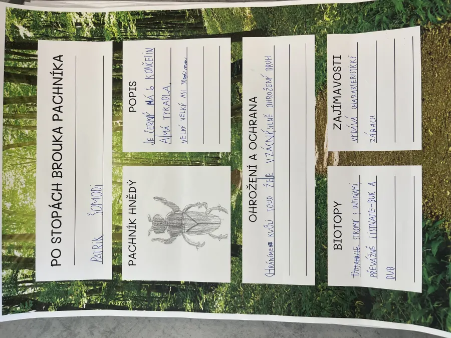 Po stopách brouka Pachníka